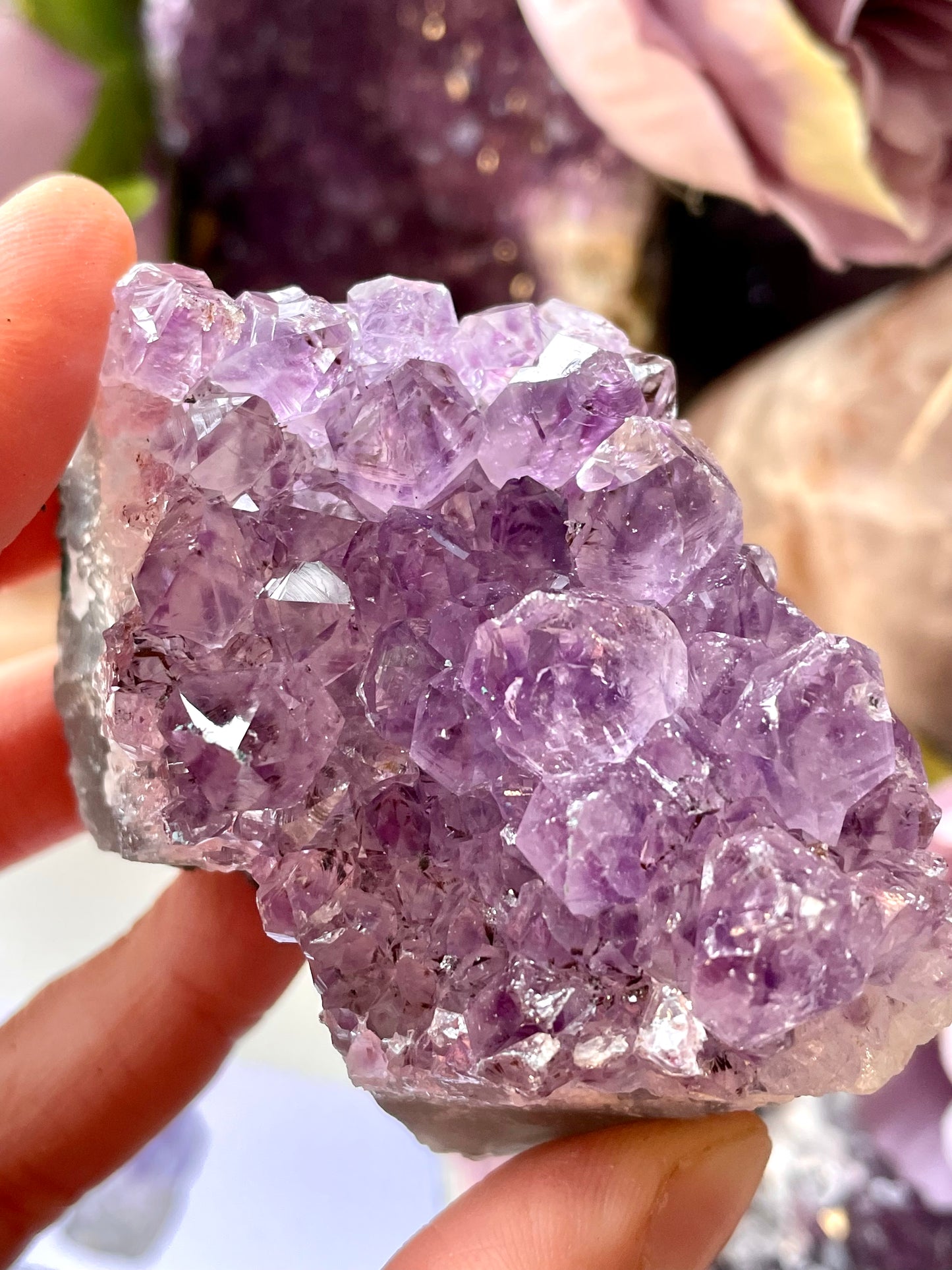 Amethyst clusters medium size