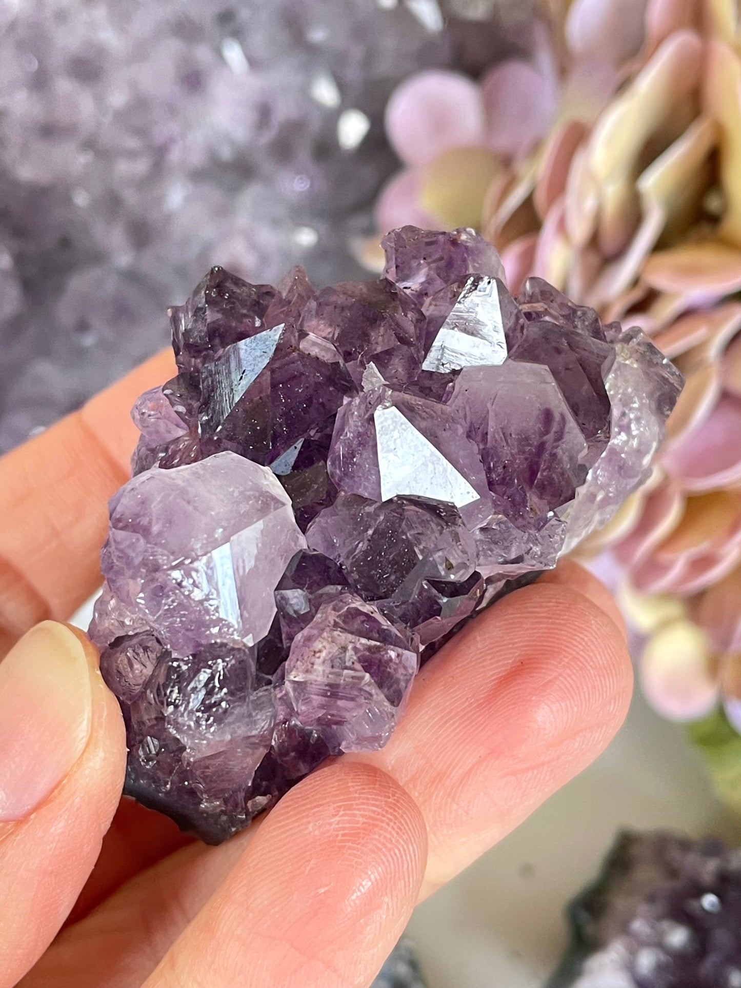 Amethyst small raw clusters